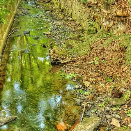 Schlaffass Kamp alanı *