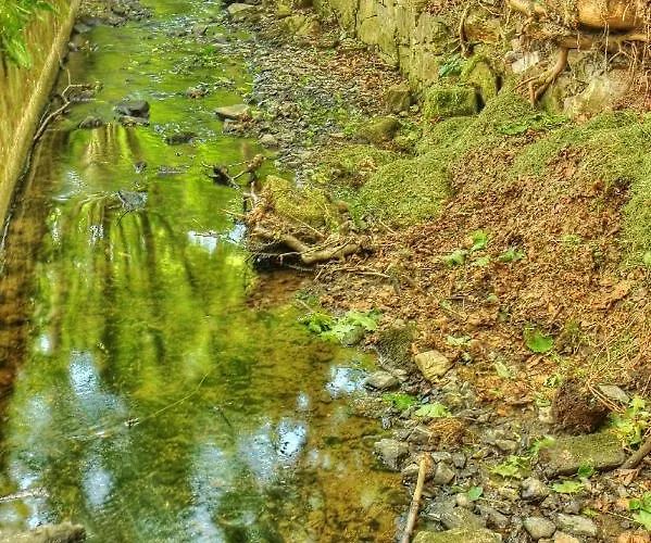 Schlaffass אתר קמפינג *